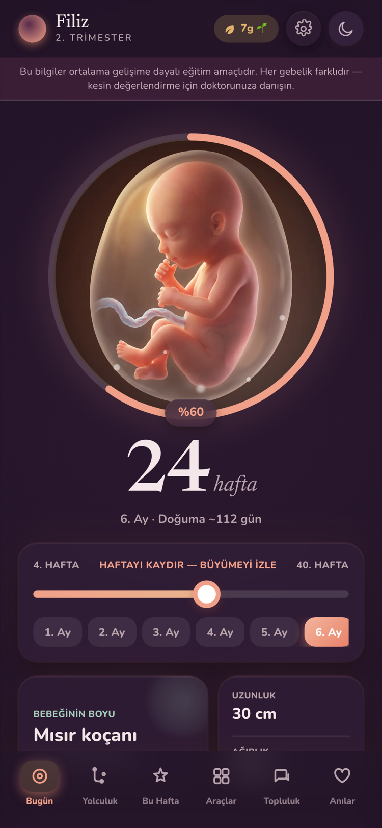 Filiz Bugün ekranı: 24. hafta, bebeğin gelişim görseli, doğuma kalan gün ve hafta kaydırıcısı.
