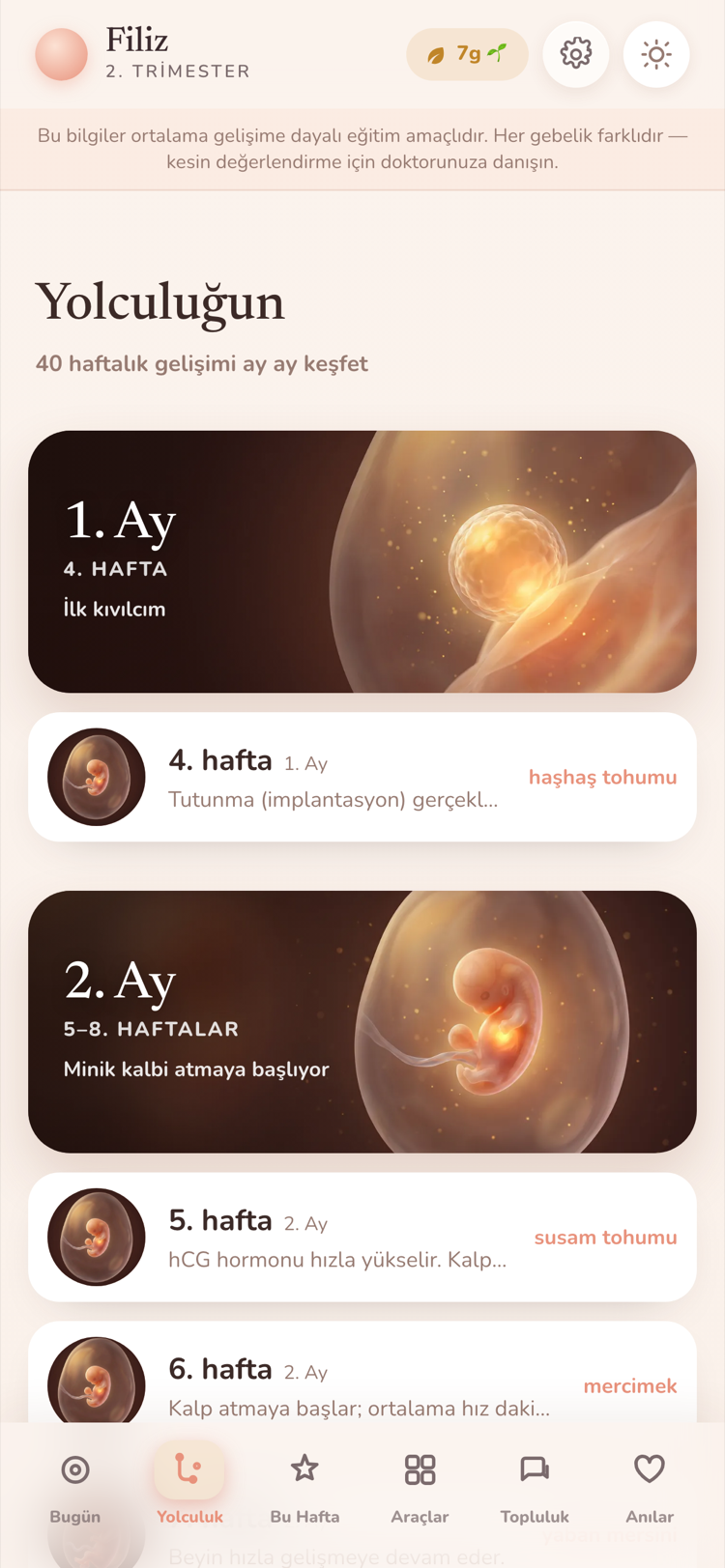 Yolculuk ekranı: haftalar listesi, her satırda boyut karşılaştırması.